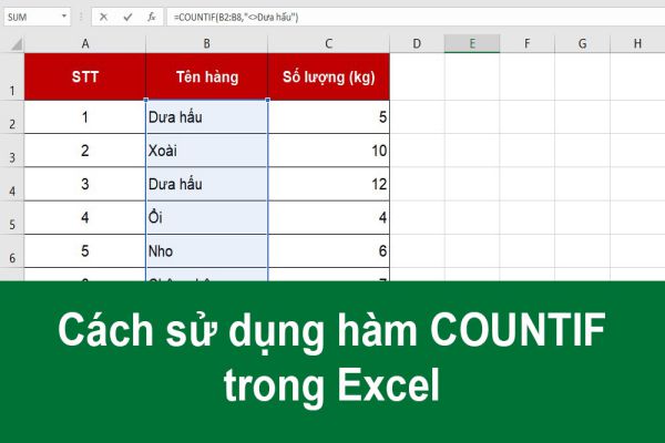 cach-dung-ham-countif-trong-excel